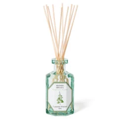Mentha Spicata - Menthe Verte - Room Diffuser 6.4oz