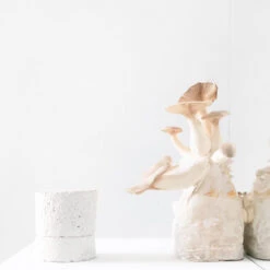 Chakra 02 : Sacral : Santalwood : Scented Candle 3 Chakra 02 : Sacral : Santalwood : Scented Candle -Fragrance Series Store amencandlemushroom 5af7f160 75c5 43a4 87fb 7c92bfa4d879