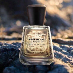 Fragrance Series Store -Fragrance Series Store boisblancbyFrapinstilllifeedp